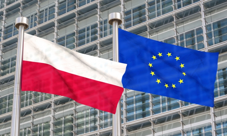 Czy Europa nadal lubi polskie ciężarówki? Branża transportowa – przegląd 15 lat w UE
